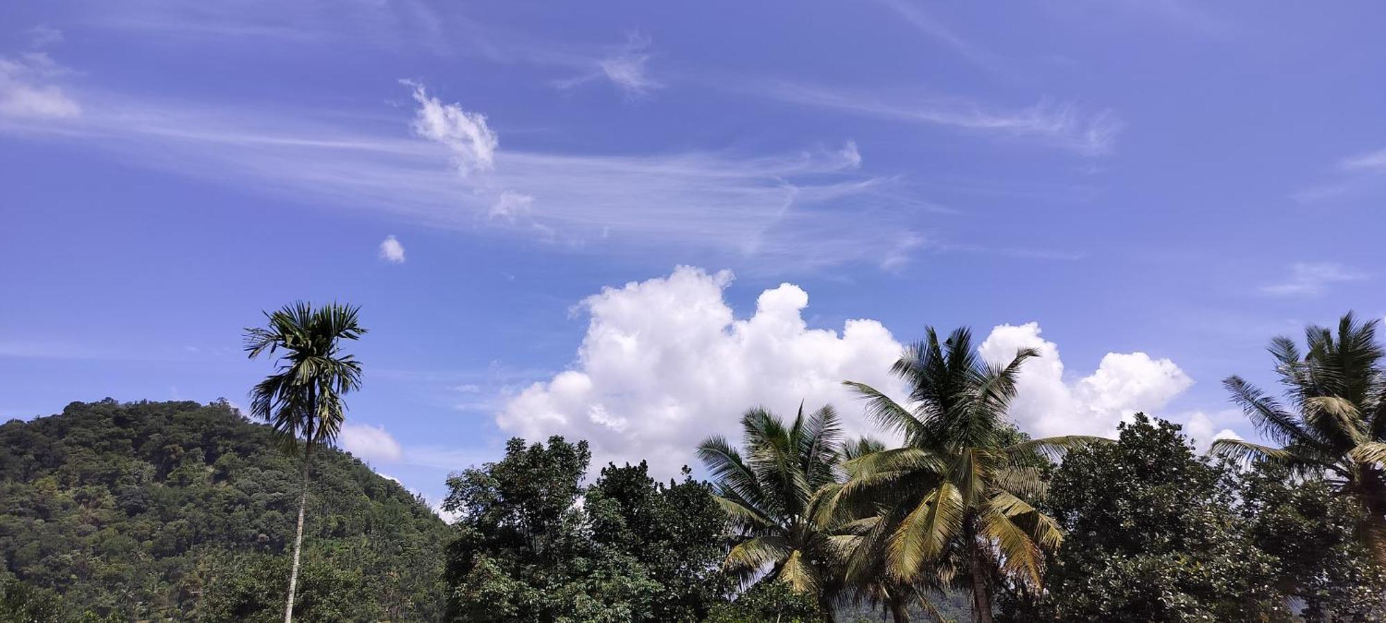 Himadri Munnar Holidays Екстер'єр фото